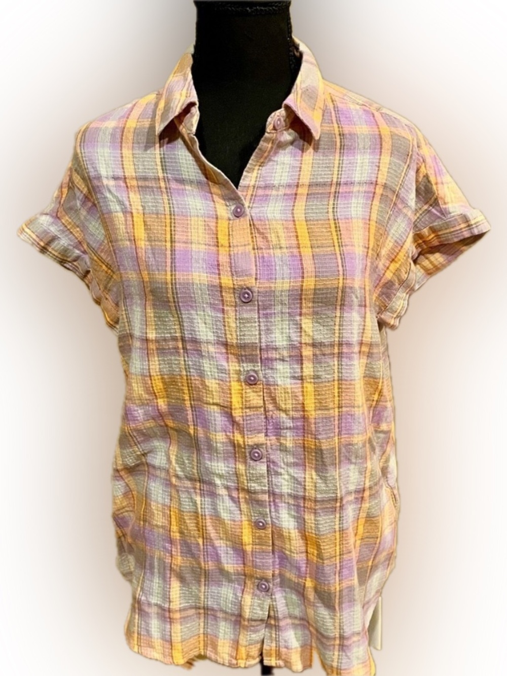 Beachlunchlounge Spencer Blouse NWT Rustic Lilac Plaid Cotton Short Sleeve Small